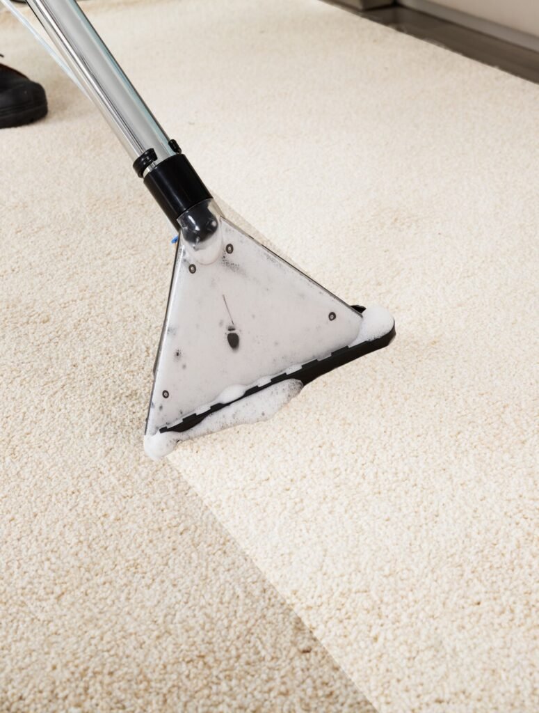 Pet Odors Removal in Fitzroy Harbour ON | Edward’s Carpet Cleaning