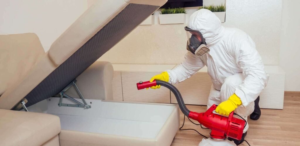 Bee Relocation Services in Milton, ON | AK Pest Control