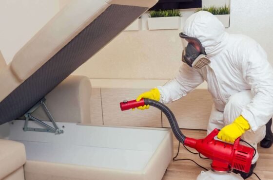 Bee Relocation Services in Milton, ON | AK Pest Control
