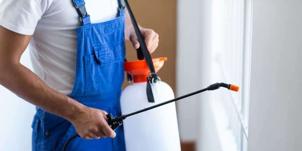 Bee Relocation Services in Milton, ON | AK Pest Control